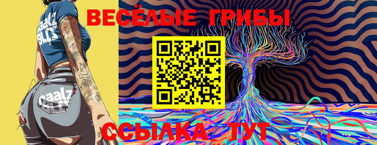 Галлюциногенные грибы Cubensis  Вход с VPN  Ирбит  Псилоцибиновые грибы Psilocybe 